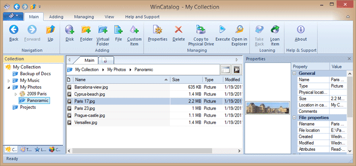 La ventana principal de WinCatalog  muestra el catálogo con las propiedades de disco y archivo añadidas