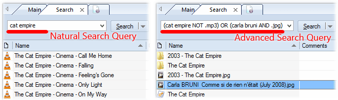 Natural and advanced search queries allow you to search through your disk collection