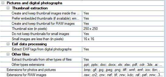 2. Pictures and digital photographs section