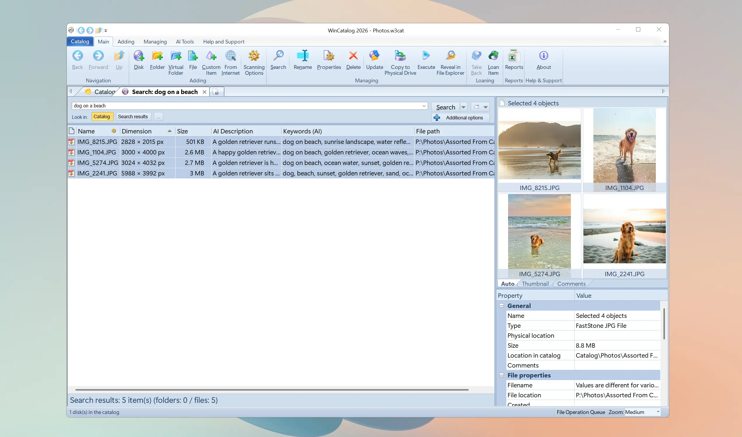 AI-powered image search in WinCatalog 2026