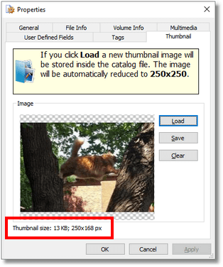 Размеры миниатюры в свойствах файла - WinCatalog 2016