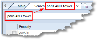WinCatalog now Displays Search Queries on Search Tabs