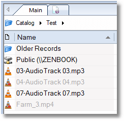 File Operation Queue - Items marked for deletion are greyed