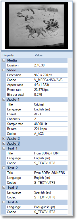 WinCatalog 2023 Grabs Text Stream Info From Video Files