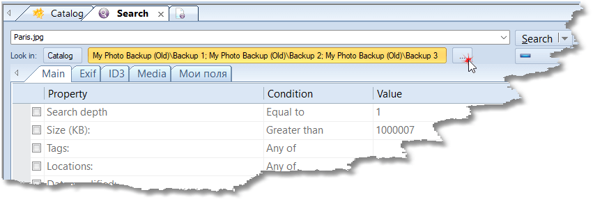 WinCatalog 2024 - Several Folders for the Look In Search Filter