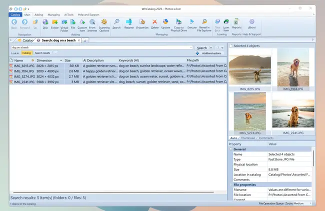 AI-powered image search in WinCatalog 2026
