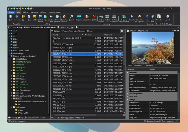 Dark theme in WinCatalog 2027.1