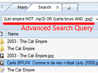 Use natural or advanced search queries