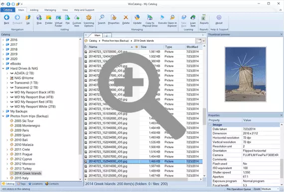 WinCatalog 2024 DVD Catalog Software main window